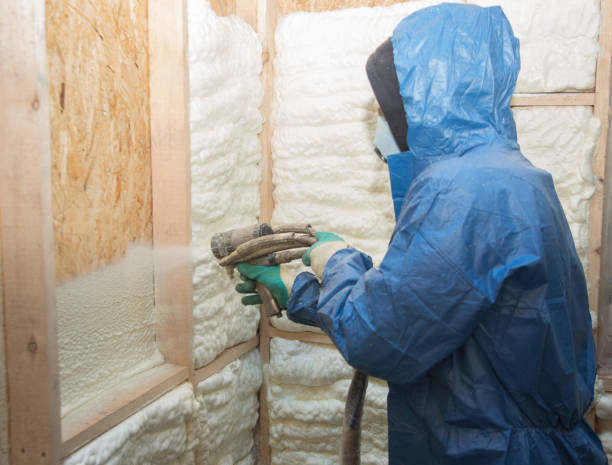 Best Eco-Friendly or Green Insulation Solutions  in Walbridge, OH